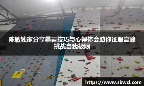 bsports登录入口