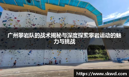 bsports官网入口