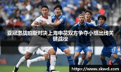 bsports官网入口