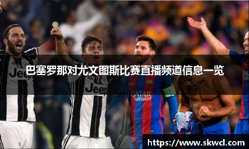 bsports官网入口