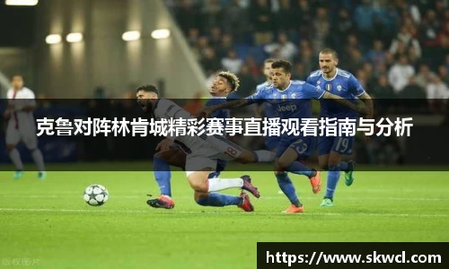 bsports登录入口