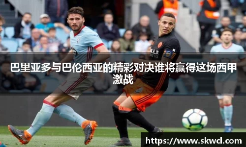 bsports登录入口
