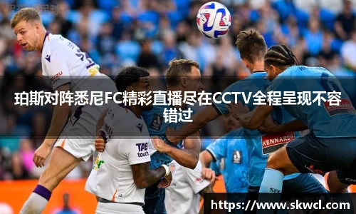 bsports登录入口