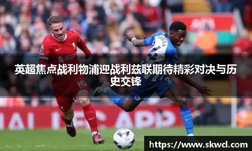 bsports登录入口
