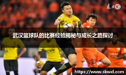 bsports登录入口
