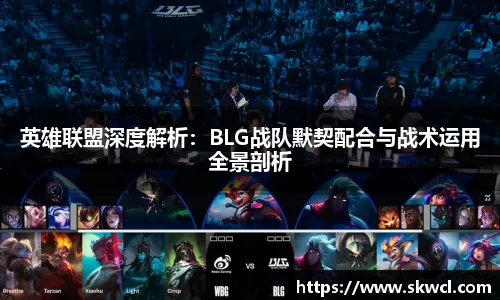 bsports官网入口