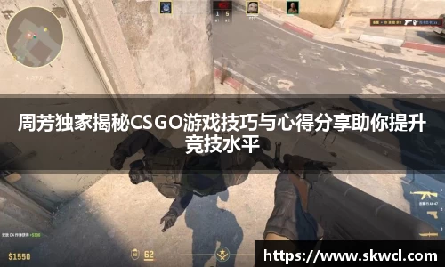 bsports官网入口