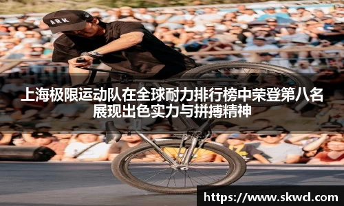 bsports登录入口