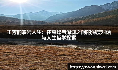 bsports登录入口